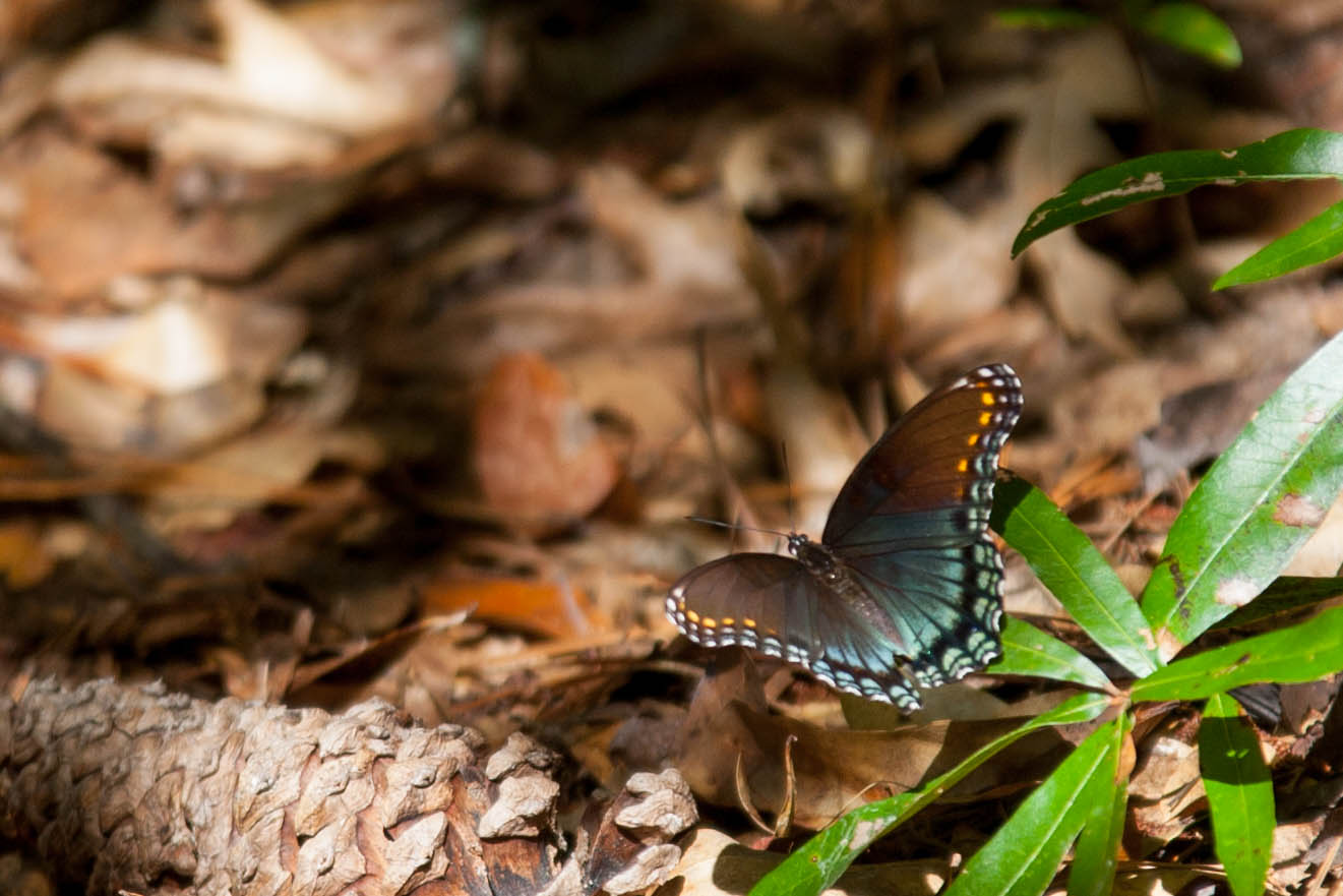 20130928-_MG_2744 image