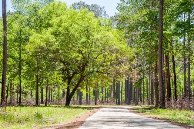 2016-04-18_05-18-29.jpg image